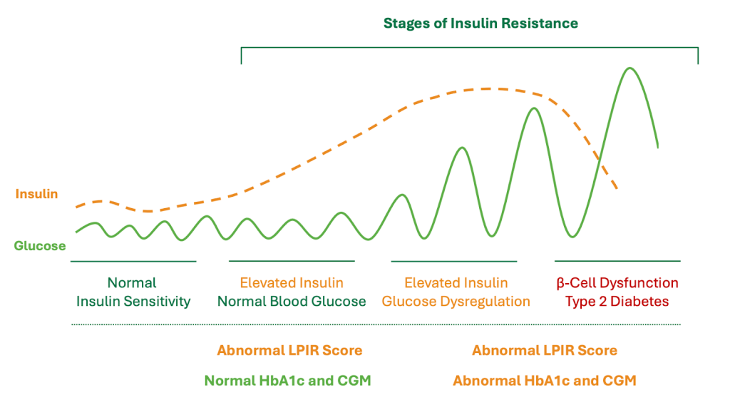 Figure 6. Stages of Insulin Resistance and the Relationship to Diagnostic Testing.